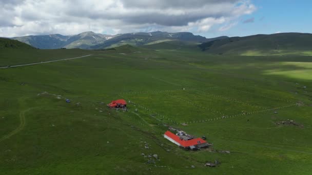 Viaggio Del Drone Esplorare Bellezza Del Parco Nazionale Buchegi Romania — Video Stock