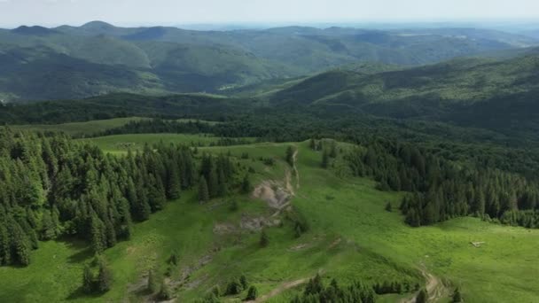 Imagens Aéreas Drones Floresta Bucegi Mountains Roménia — Vídeo de Stock