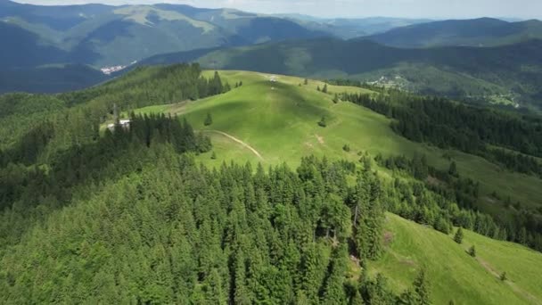 Drohnenaufnahmen Des Waldes Bucegi Gebirge Rumänien — Stockvideo