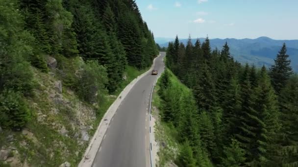 Üst Manzara Dağ Manzaralı Bir Ladin Ormanının Içinden Geçen Arabaları — Stok video