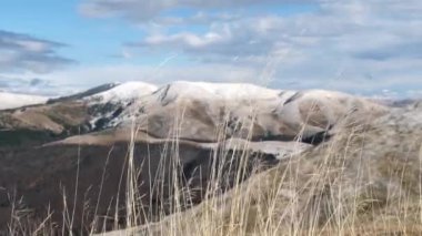 Güneşli bir kış gününde rüzgarda sallanan doğal sarı çimenlerin yakın plan görüntüleri ve Bucegi dağlarının arka planında kayalık dağlar. Karla kaplı dağları olan güzel kış manzarası.