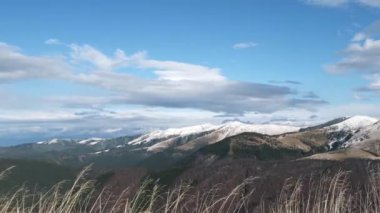 Güneşli bir kış gününde rüzgarda sallanan doğal sarı çimenlerin yakın plan görüntüleri ve Bucegi dağlarının arka planında kayalık dağlar. Karla kaplı dağları olan güzel kış manzarası.