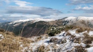 Güneşli bir kış gününde rüzgarda sallanan doğal sarı çimenlerin yakın plan görüntüleri ve Bucegi dağlarının arka planında kayalık dağlar. Karla kaplı dağları olan güzel kış manzarası.