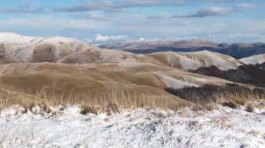 Güneşli bir kış gününde rüzgarda sallanan doğal sarı çimenlerin ve Bucegi dağlarının arka planında kayalık dağların görüntüsü. Karla kaplı dağları olan güzel kış manzarası.
