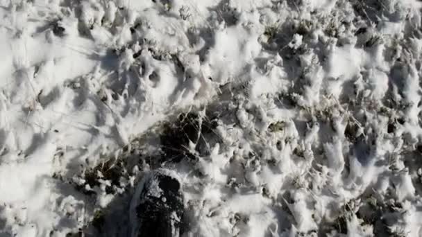 Pés Andando Sobre Neve Cima Botas Pretas Feche Pés Homem — Vídeo de Stock
