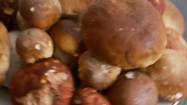 Champignons Porcini Sur Fond Table Bois Gris Récolte Des Casseroles — Video