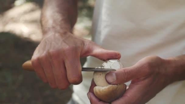 拍下森林里清理蘑菇的人的近照食用菌 大丰收 采摘后用刀割去蘑菇上的污垢 新鲜猪肉I — 图库视频影像
