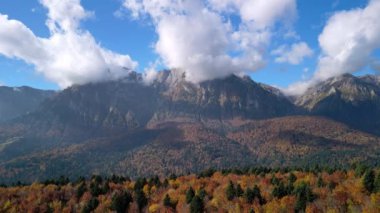 Bucegi Ulusal Parkı manzaralı Sonbahar Karpatlar Ormanı 'nın insansız hava aracı görüntüleri. Busteni, Prahova, Romanya.