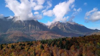 Bucegi Ulusal Parkı manzaralı Sonbahar Karpatlar Ormanı 'nın insansız hava aracı görüntüleri. Busteni, Prahova, Romanya.