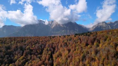 Bucegi Ulusal Parkı manzaralı Sonbahar Karpatlar Ormanı 'nın insansız hava aracı görüntüleri. Busteni, Prahova, Romanya.