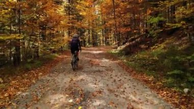 Kadın bisikletçi eğitiminin insansız hava aracı görüntüleri. Sonbahar ormanında çakıl bisikleti süren bisikletçi. Çakıl bisikleti konsepti. Bisiklet üniforması ve kask giyen bir kadın bisikletçi. Off-road bisiklet macerası.