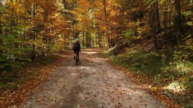 Kadın bisikletçi eğitiminin insansız hava aracı görüntüleri. Sonbahar ormanında çakıl bisikleti süren bisikletçi. Çakıl bisikleti konsepti. Bisiklet üniforması ve kask giyen bir kadın bisikletçi. Off-road bisiklet macerası.