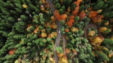 Dron dağlardaki dolambaçlı yolda uçuyor. İnanılmaz zigzag yolu. Kırsal alan. Romanya 'da Serpentine Virajı.