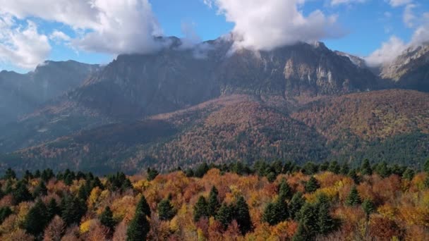 Drohnenaufnahmen Vom Herbstlichen Karpatenwald Mit Blick Auf Den Bucegi Nationalpark — Stockvideo