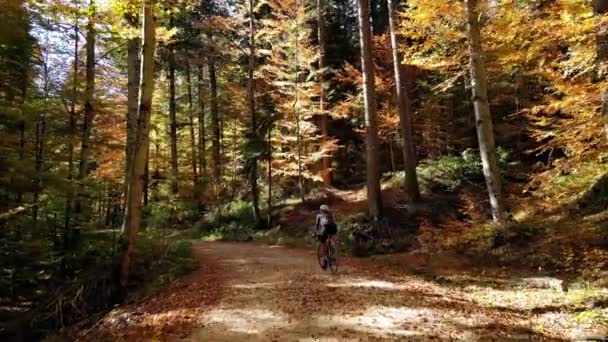 女性のサイクリスト訓練のドローンショット 秋の森を走るバイクに乗るサイクリスト グラベルバイクのコンセプト サイクリングユニフォームとヘルメットを着用した女性サイクリスト オフロードバイクアドベンチャー — ストック動画
