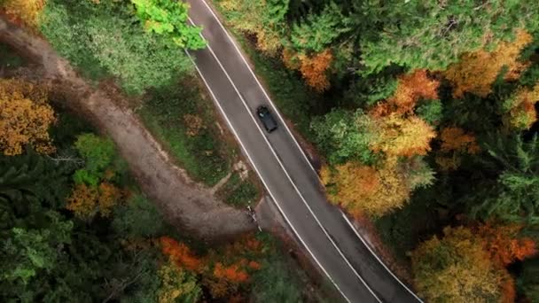 秋の風の道の上のトップビュー 山の中のウィンドウロード 秋の風景 山の中にある信じられない蛇 道路を飛行するドローン — ストック動画