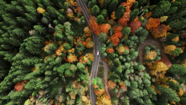 ドローンが山の曲がりくねった道を飛んでいる 驚くべきジグザグの道 田舎の風景について ルーマニアのサーペンタイン曲線道路 — ストック動画