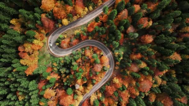 Dron Přeletěl Klikatou Silnici Horách Úžasná Klikatá Cesta Krajina Serpentine — Stock video
