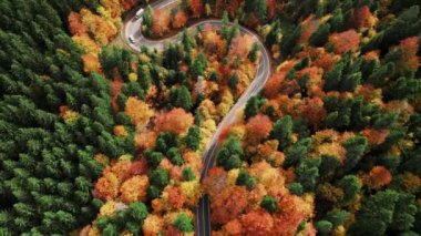 Sonbaharda dolambaçlı yolun üst manzarası. Dağlarda dolambaçlı bir yol. Sonbahar manzarası. Dağlarda inanılmaz bir yılan var. İnsansız hava aracı yolda uçuyor..