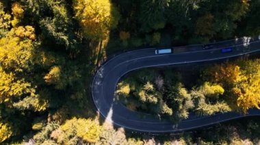 Renkli sonbahar ormanlarından geçen kıvrımlı bir yolda giden arabaların hava aracı görüntüleri. Sonbahar ormanı arasında dolambaçlı bir yol. Kırsal alan. Romanya dağlarında virajlı bir yol. Yılan gibi..