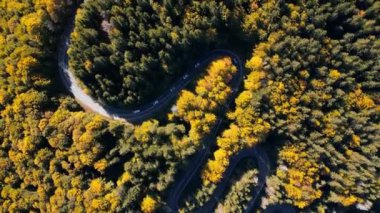 Renkli sonbahar ormanlarından geçen kıvrımlı bir yolda giden arabaların hava aracı görüntüleri. Sonbahar ormanı arasında dolambaçlı bir yol. Kırsal alan. Romanya dağlarında virajlı bir yol. Yılan gibi..