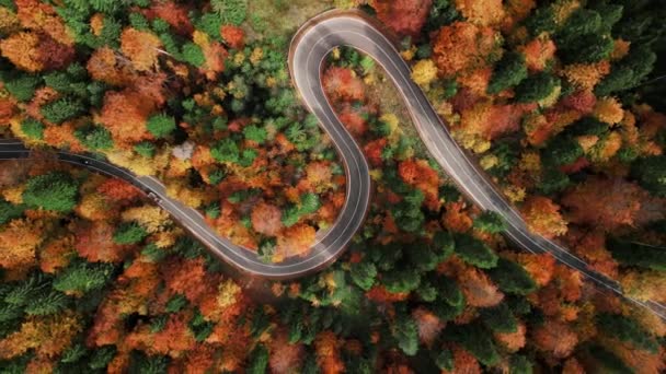 Drohnenblick Über Kurvige Straße Den Bergen Der Herbst Breitet Sich — Stockvideo