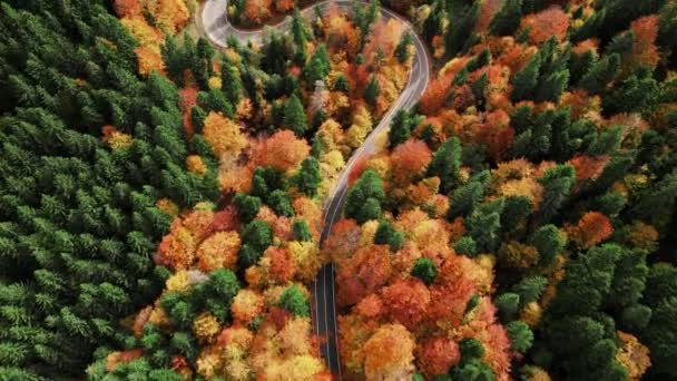 Vista Aérea Drone Sobre Estrada Curvilínea Nas Montanhas Outono Espalhou — Vídeo de Stock