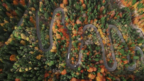 Flygbilder Rumänsk Bergsslingrande Väg Ovanifrån Ormvägen Otroligt Orpentin Fjällen Hösten — Stockvideo