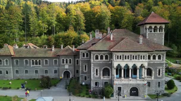 Luftaufnahme Der Burg Cantacuzino Busteni Rumänien Dies Ist Eine Sehr — Stockvideo