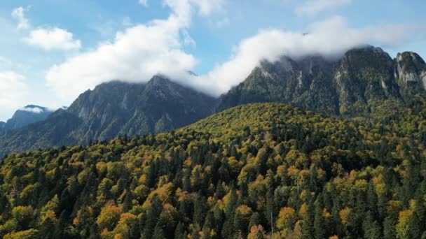 Drohnenaufnahmen Vom Herbstlichen Karpatenwald Mit Blick Auf Den Bucegi Nationalpark — Stockvideo