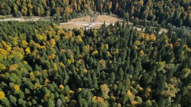 Drohnenflug Über Den Bunten Wäldern Den Karpaten Einem Sonnigen Herbstabend — Stockvideo
