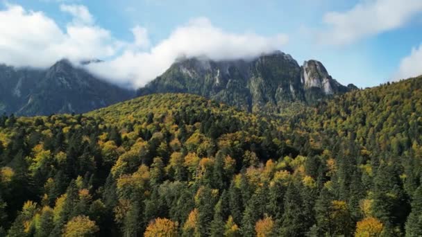 Bucegi Ulusal Parkı Manzaralı Bir Sonbahar Karpatlar Ormanı Üzerinde Uçan — Stok video
