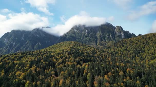 Luftaufnahme Einer Drohne Die Über Einem Herbstlichen Karpatenwald Mit Blick — Stockvideo