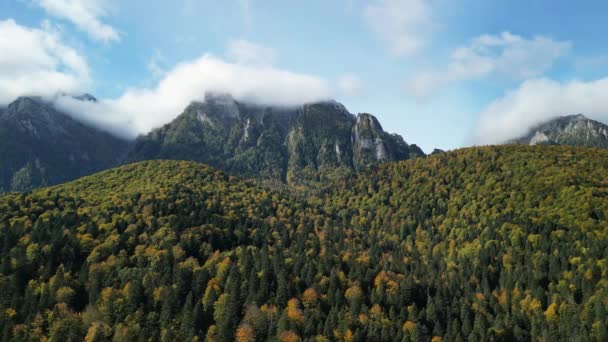 Luftaufnahme Einer Drohne Die Über Einem Herbstlichen Karpatenwald Mit Blick — Stockvideo