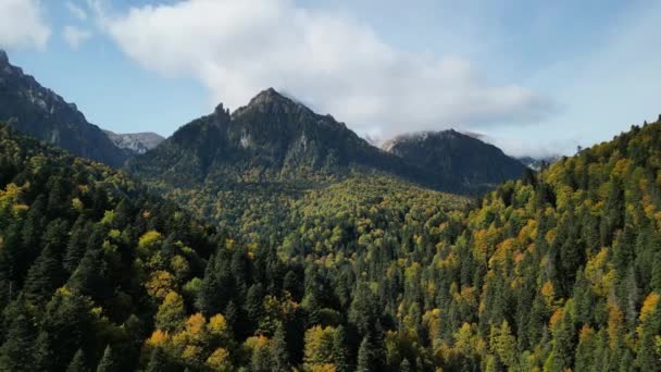 Drohnenflug Über Einem Herbstlichen Karpatenwald Mit Blick Auf Den Bucegi — Stockvideo