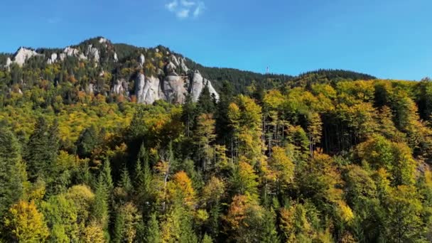 Sonbahar Dağlarının Üzerinden Uçan Dron Parlak Sonbahar Yaprakları Kayalık Dağların — Stok video