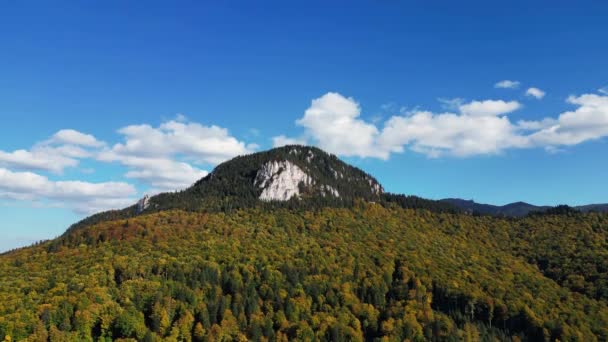 Αεροπλάνο Drone Συλλαμβάνει Την Ομορφιά Του Φθινοπώρου Στα Βουνά Χρυσά — Αρχείο Βίντεο