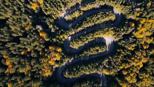 Aerial Drone Footage Curved Road Autumn Showcasing Beautiful Winding Pass — Stock Video