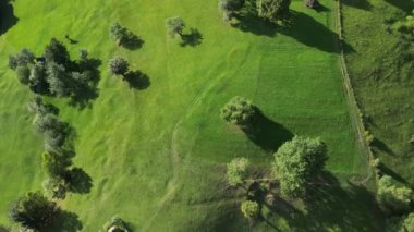 Karpat Dağları 'nın hava aracı görüntüleri. Ormanlar ve dağ çayırlarıyla kaplı dağ sırtları. Brasov bölgesi, Romanya.