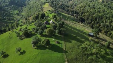 Karpat Dağları 'ndaki yamaçlarda ormanlar ve dağ çayırları olan dağ vadisinin havadan görünüşü. İnsansız sakin bir manzara. Yeşil dağların manzarası. Romanya