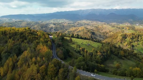 Dron Latający Nad Górską Drogą Otoczony Pięknym Kolorowym Lasem Kolorowe — Wideo stockowe