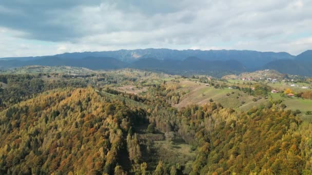 Dron Volando Sobre Los Coloridos Bosques Colinas Las Montañas Cárpatas — Vídeo de stock