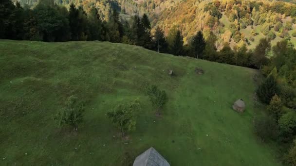 Вид Воздушного Беспилотника Красочные Живописные Леса Румынии Традиционным Домом Горах — стоковое видео