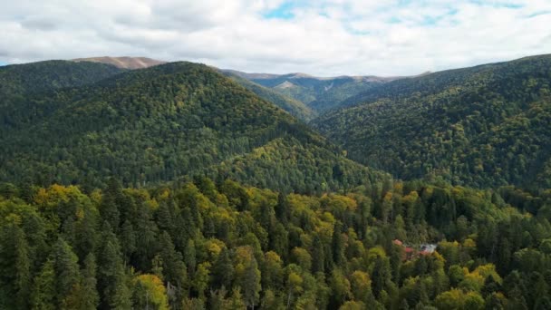 ドローンが秋にカルパティア山の森の上を飛んでいる 山の風景 上からのルーマニアの自然と風景 緑の影 黄色い丘と山々 — ストック動画