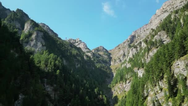 ドローンでカルパティア山脈を探索する ルーマニアのビューティーバッグの山 鋭い岩の間の緑の谷の眺め — ストック動画