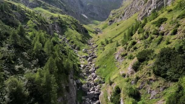 从空中俯瞰陡峭岩石之间的绿色山谷 落基山脉上覆盖着绿色的植被 飞越史诗般的高山 喀尔巴阡山脉Bucegi自然公园Valea Caldarilor河 — 图库视频影像