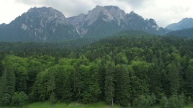İnsansız hava aracı, Bucegi Ulusal Parkı manzaralı yeşil bir Karpatya ormanının üzerinde uçuyor. Busteni, Prahova, Romanya.