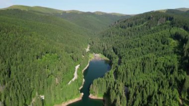 Romanya 'daki Bolboci gölü ve barajının insansız hava aracı görüntüsü. Bir dağ ormanı gölünde turkuaz su. Bucegi dağları yemyeşil ormanlarla kaplı..
