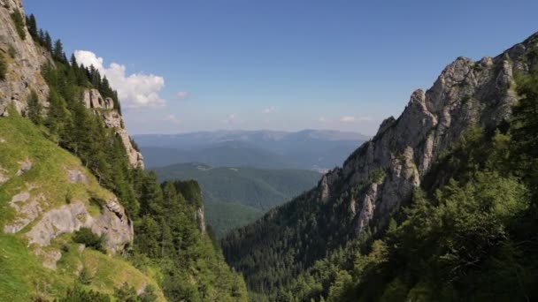 Drohnenrückschuss Der Einen Bergrücken Und Ein Alpental Mit Grünem Gras — Stockvideo