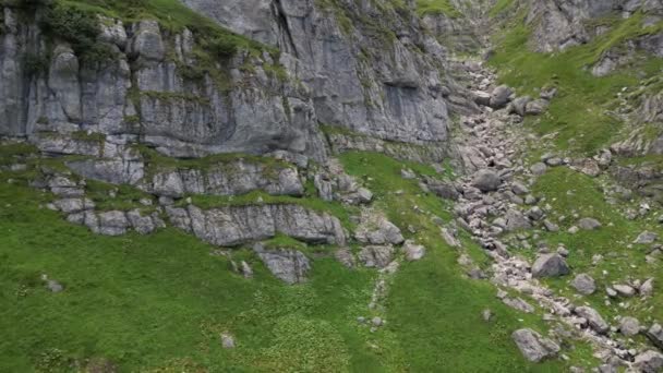 Çimenli Kayalık Yamaçtaki Dağ Keçilerinin Hava Görüntüleri Bir Dağ Keçisi — Stok video